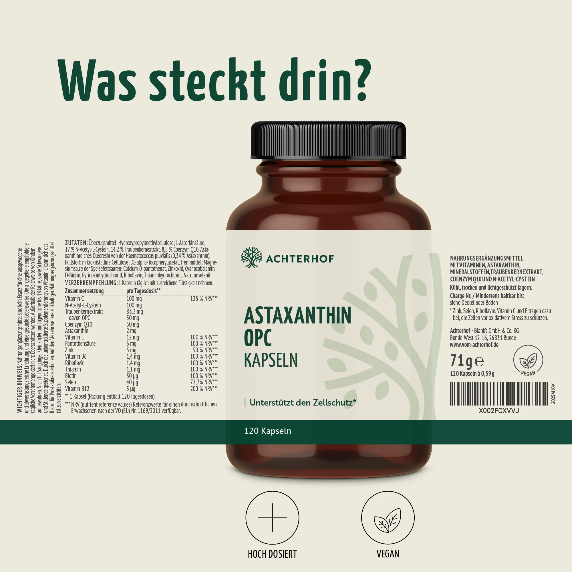 Vorschaubild 6