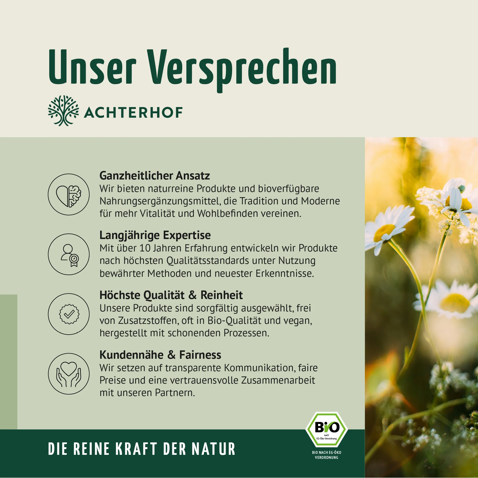 Vorschaubild 7
