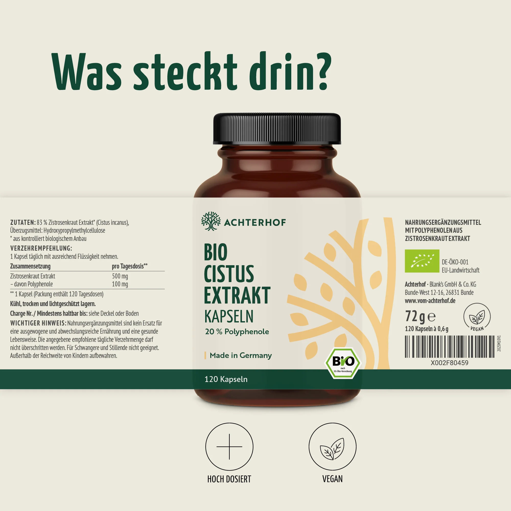 Vorschaubild 7