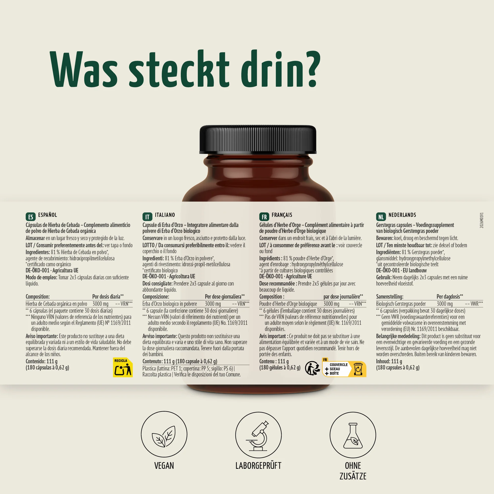 Vorschaubild 11