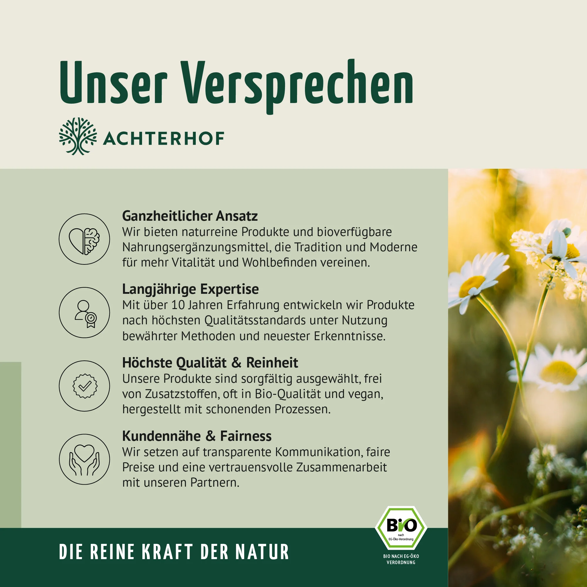 Vorschaubild 8