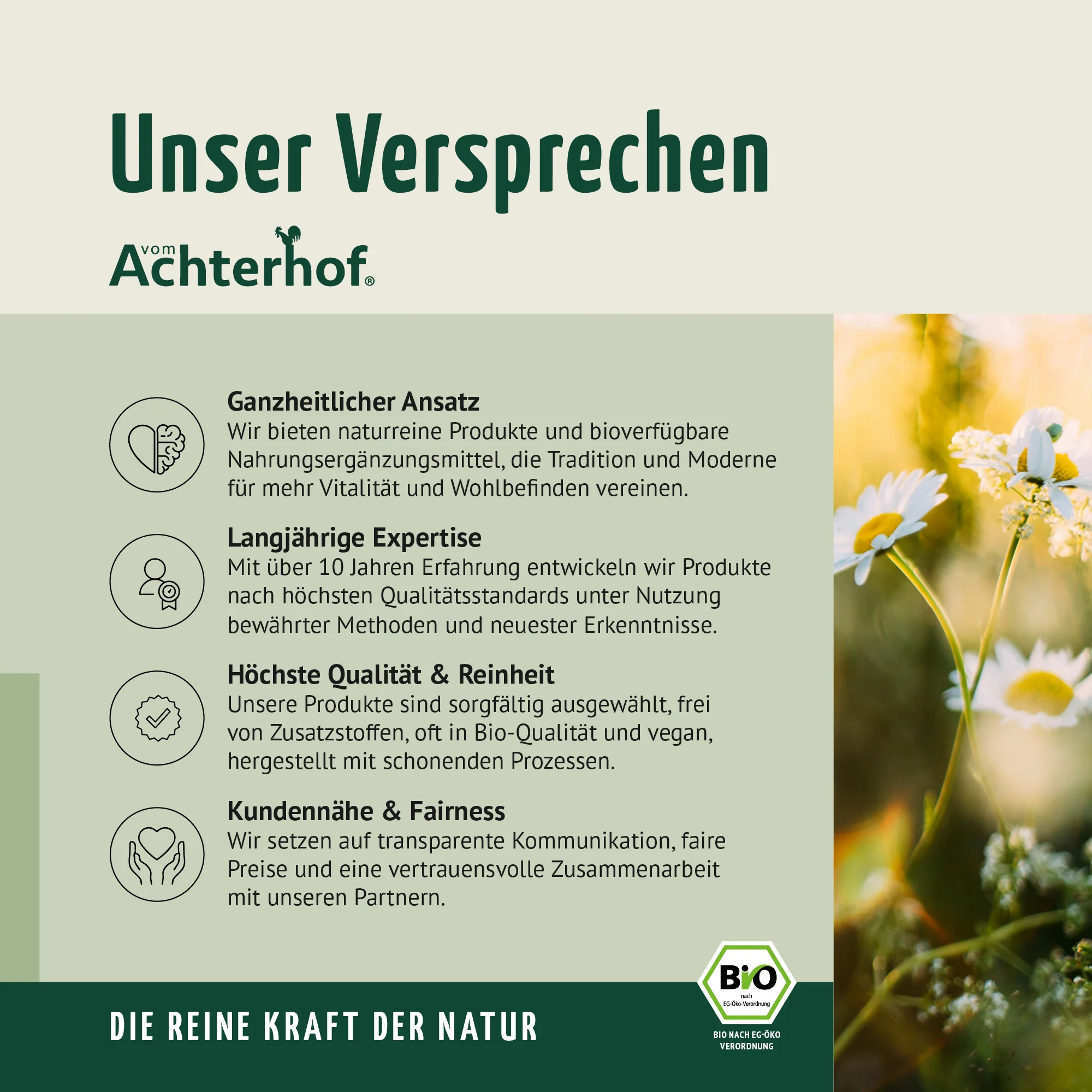Vorschaubild 8