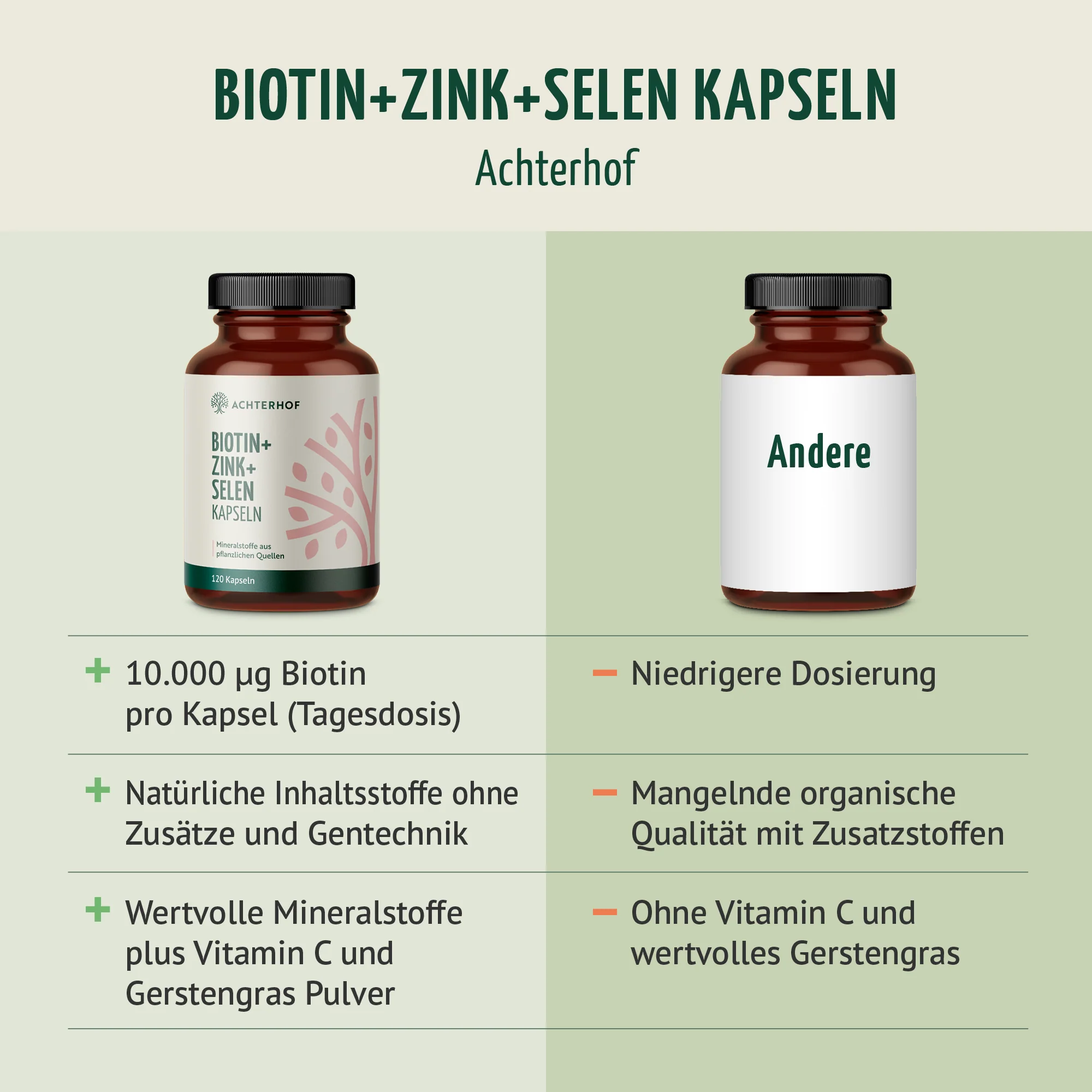 Vorschaubild 9