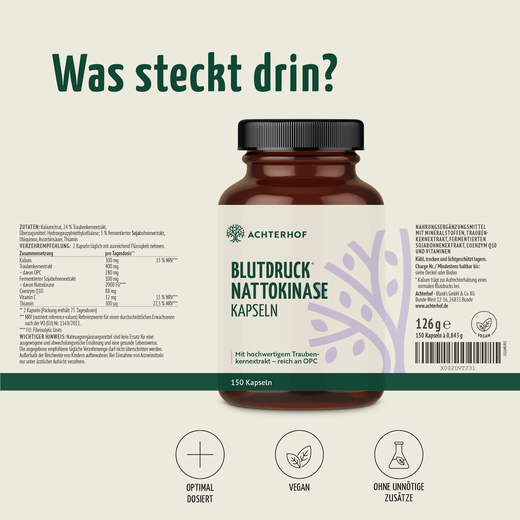 Vorschaubild 7