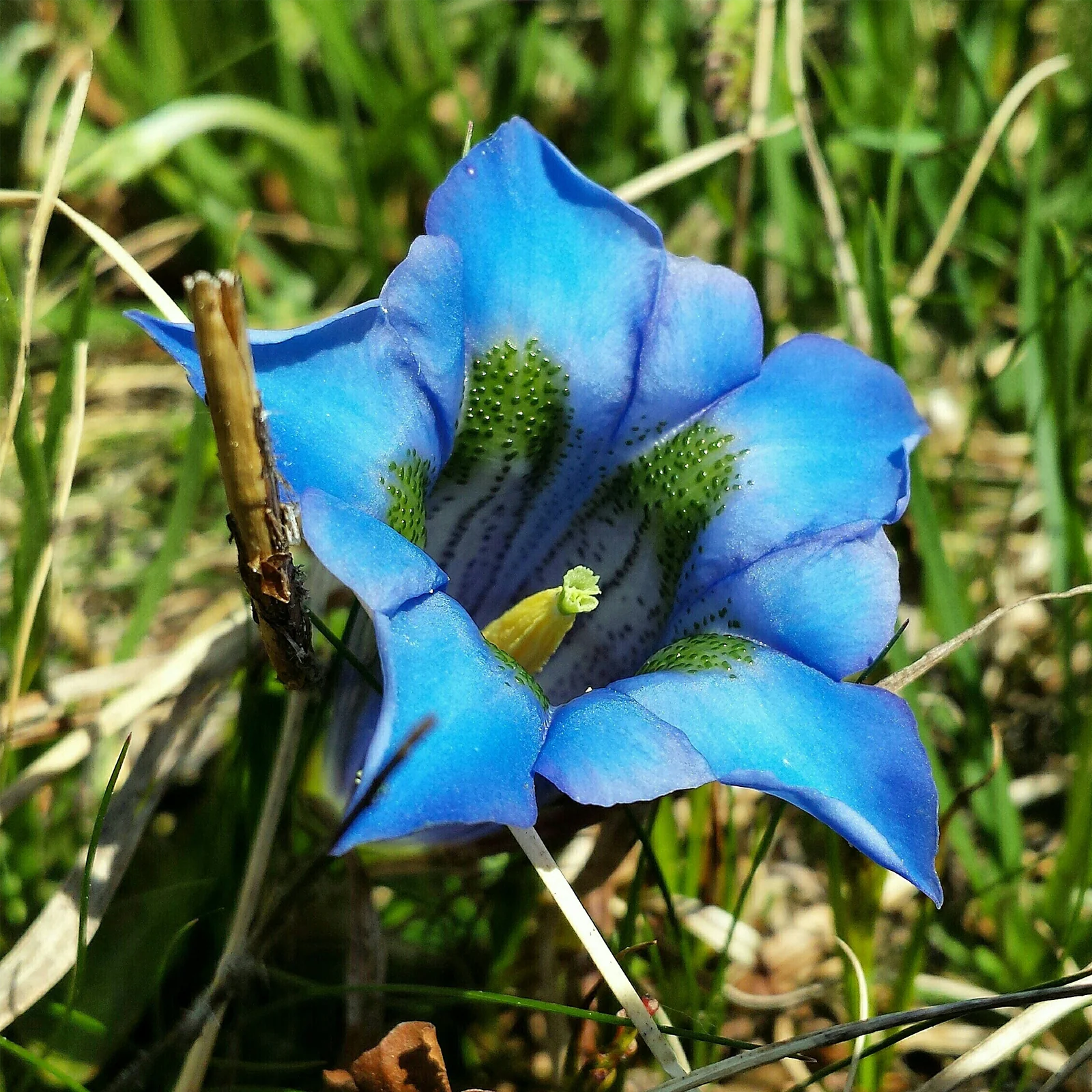 Vorschaubild 4