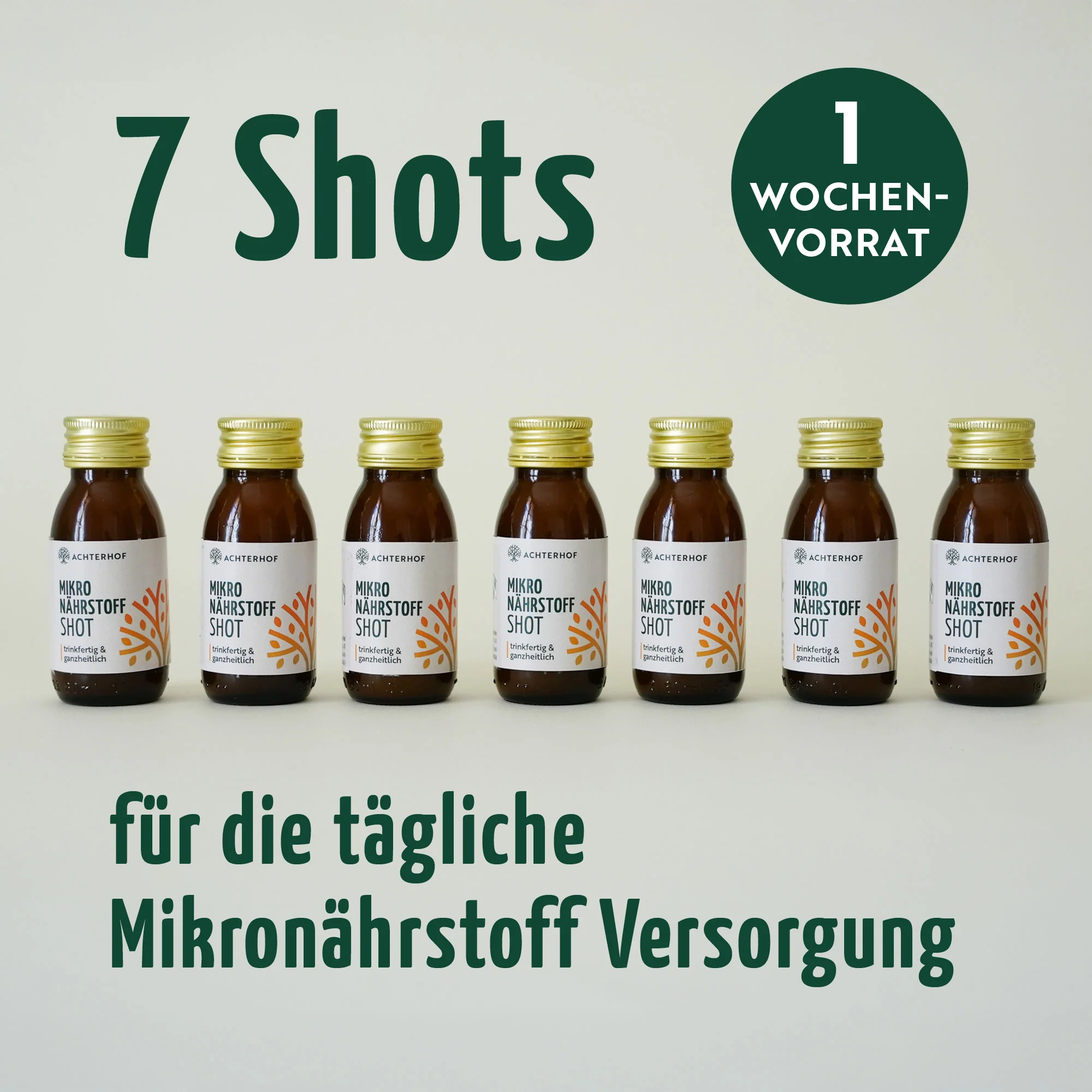 Vorschaubild 7