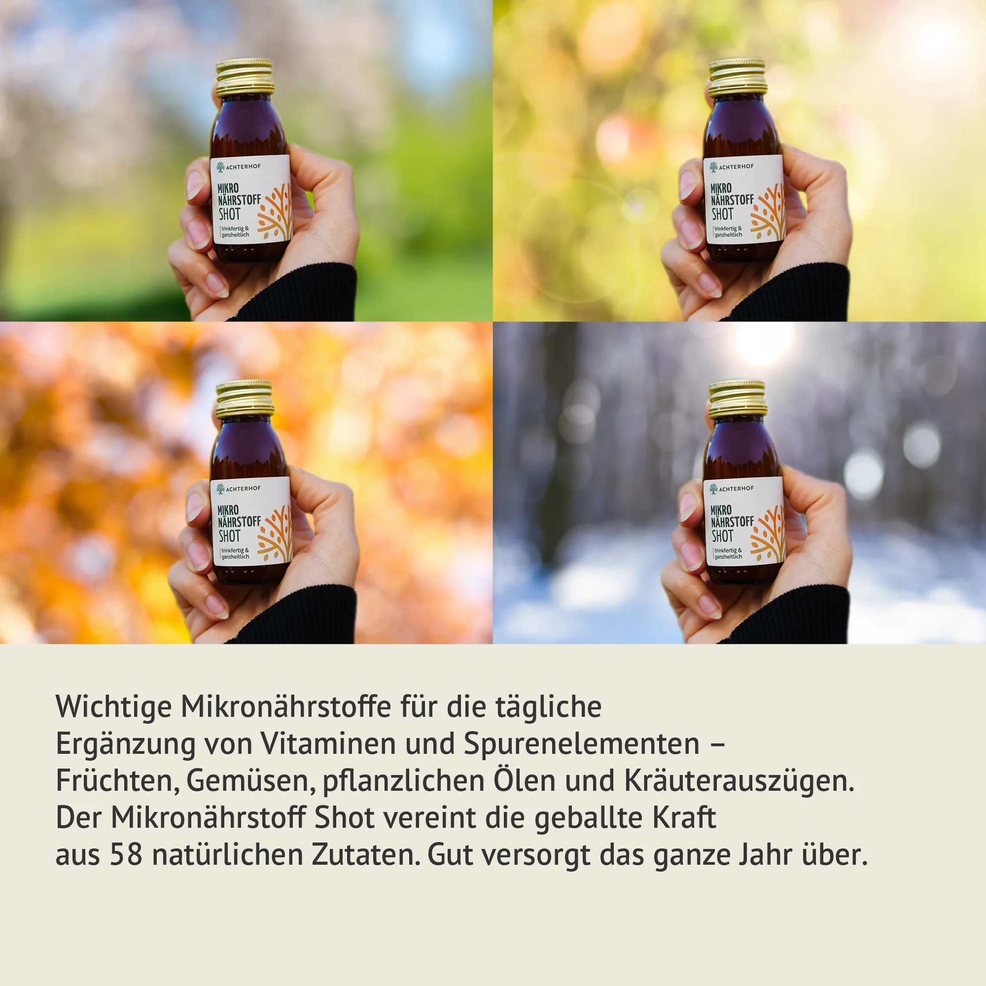 Vorschaubild 9