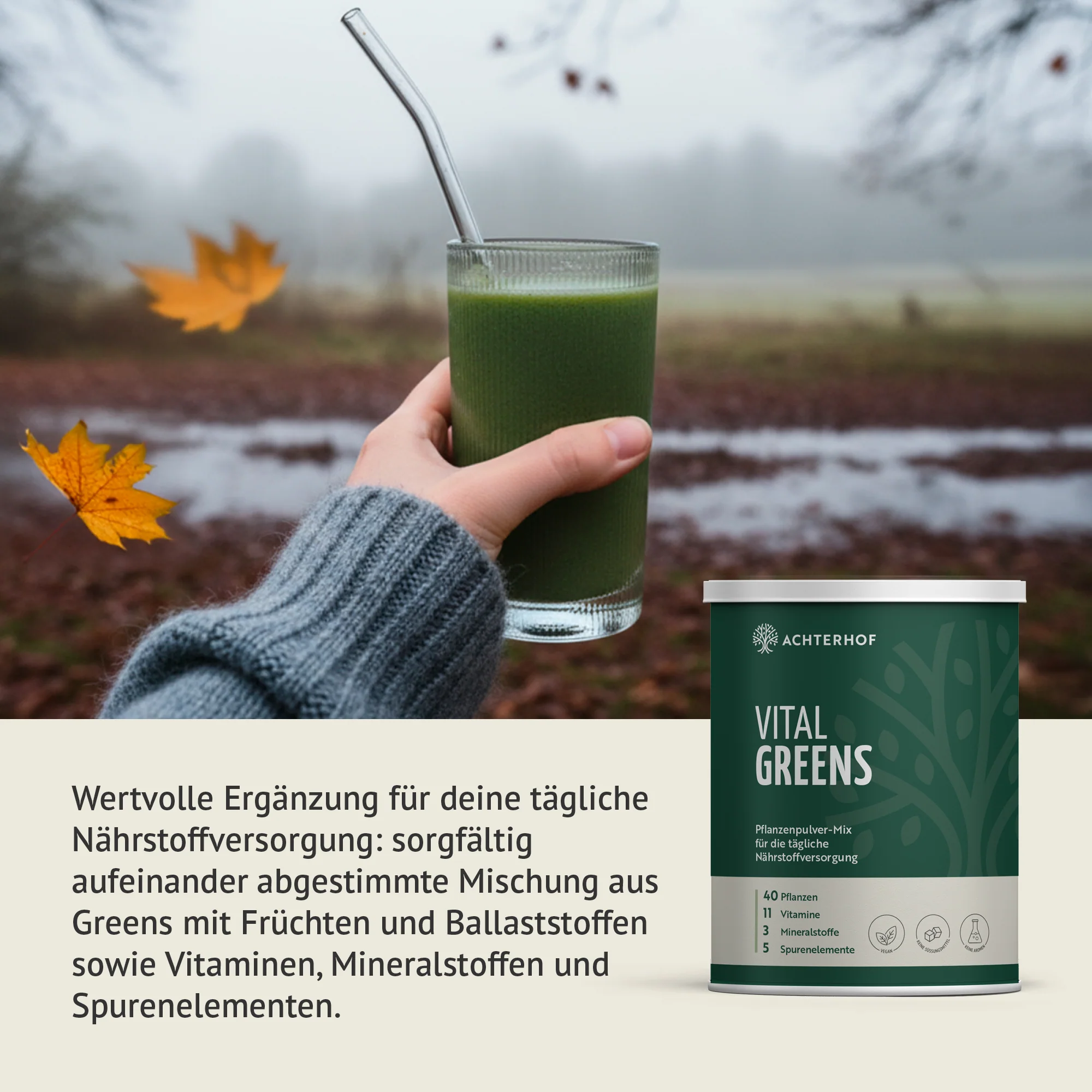 Vorschaubild 4
