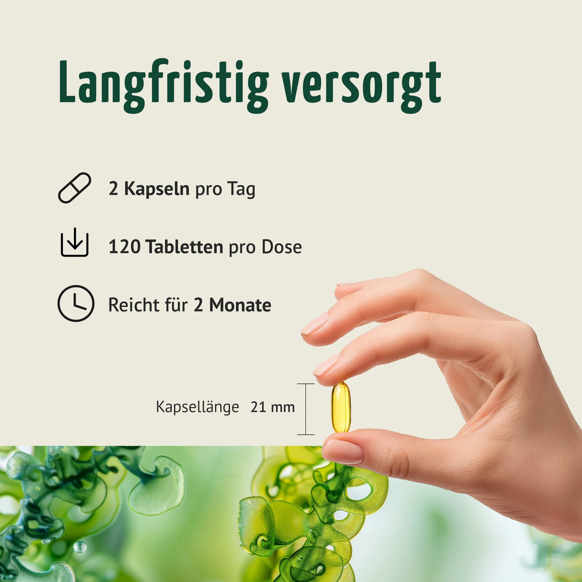 Vorschaubild 10