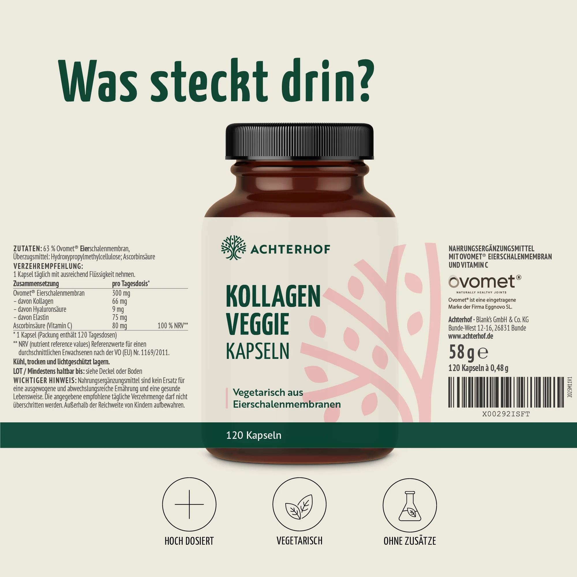 Vorschaubild 7