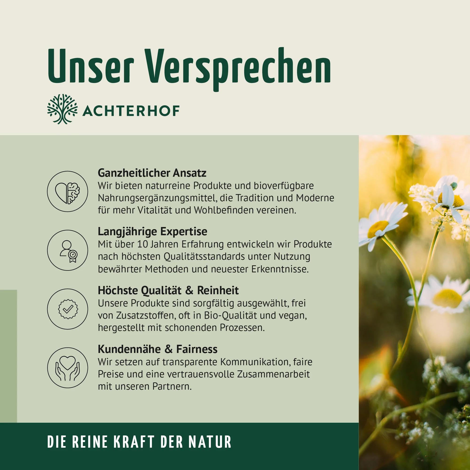 Vorschaubild 8