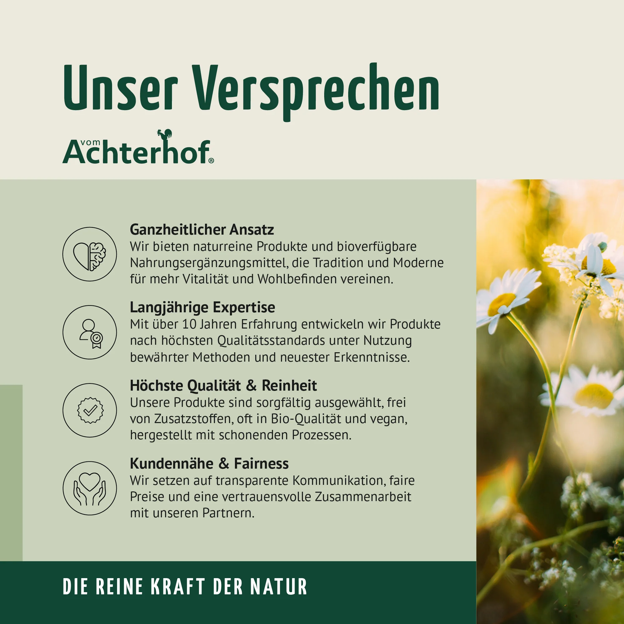 Vorschaubild 7