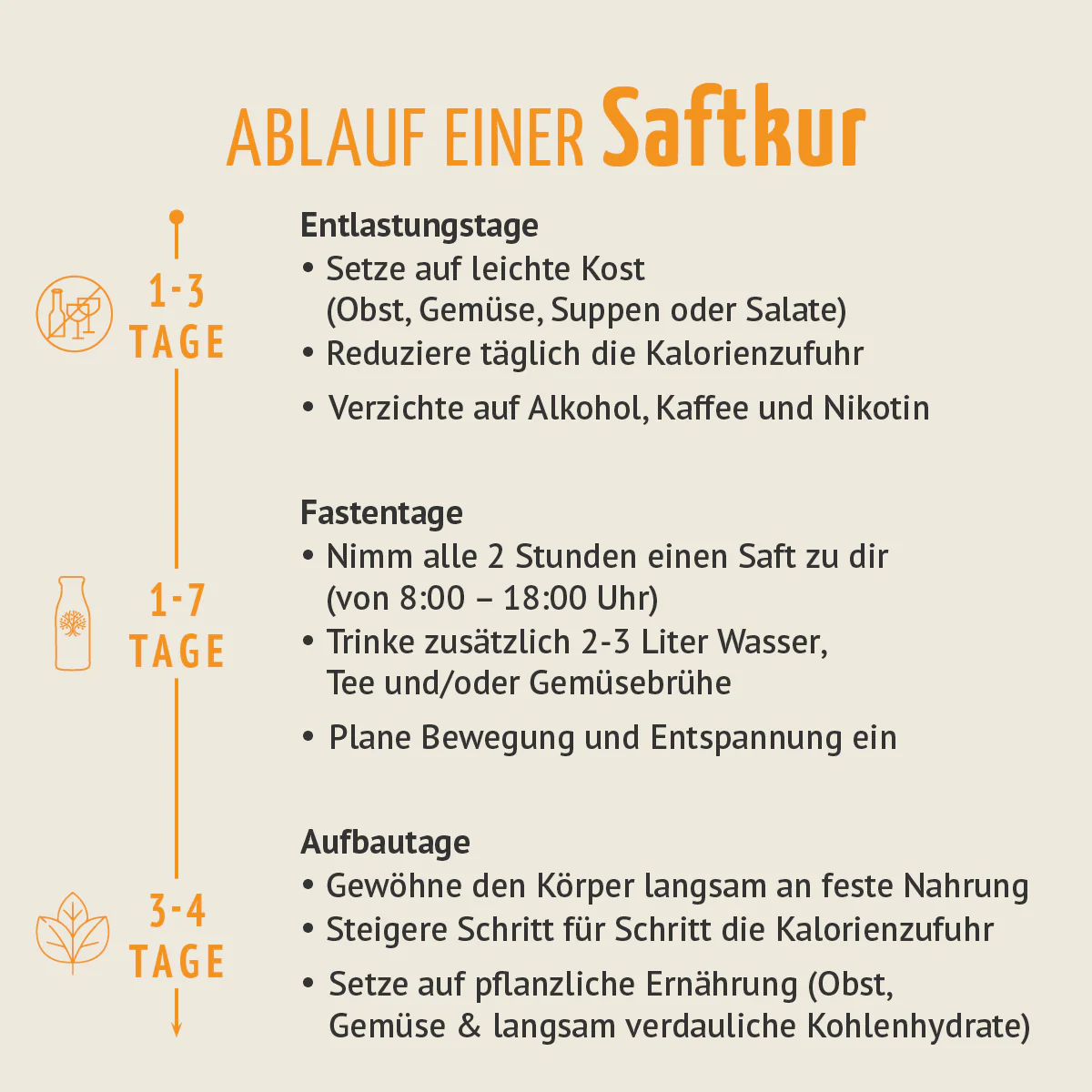 Vorschaubild 8