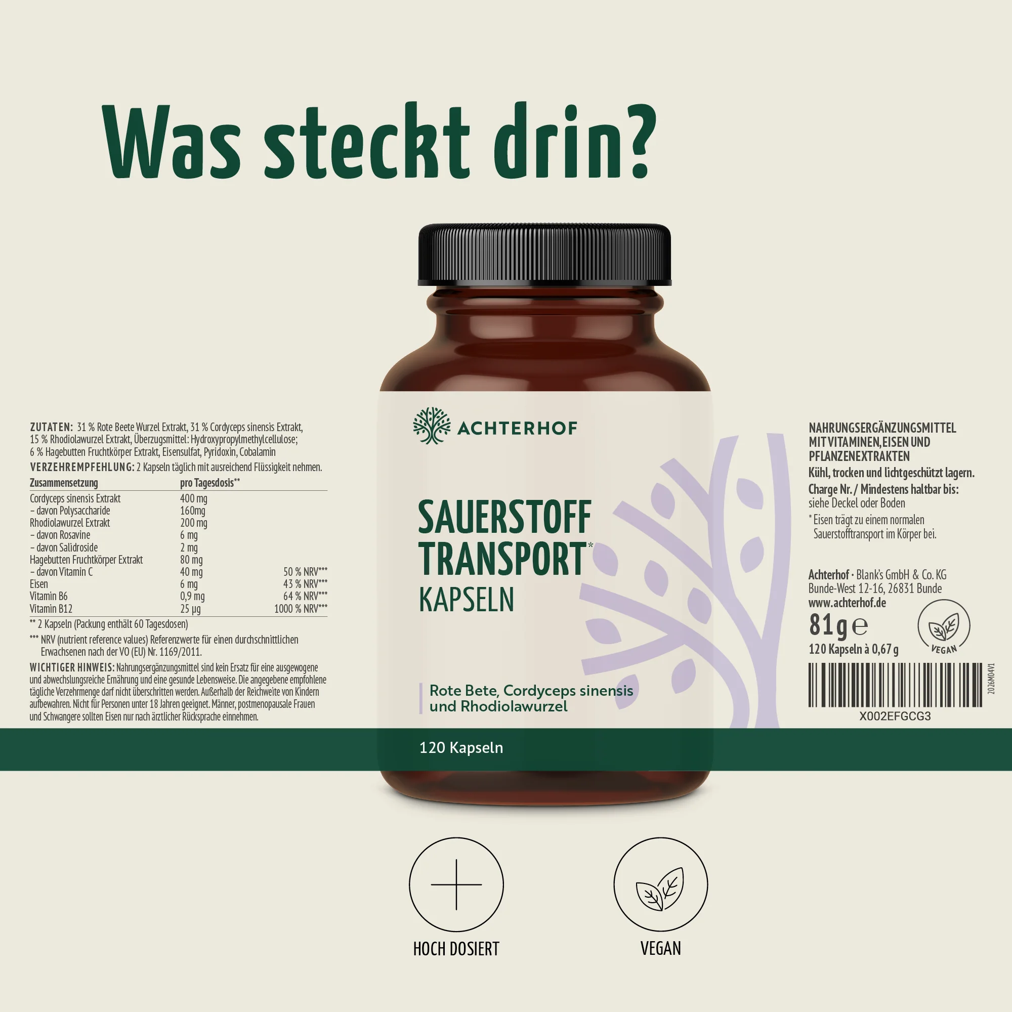 Vorschaubild 7