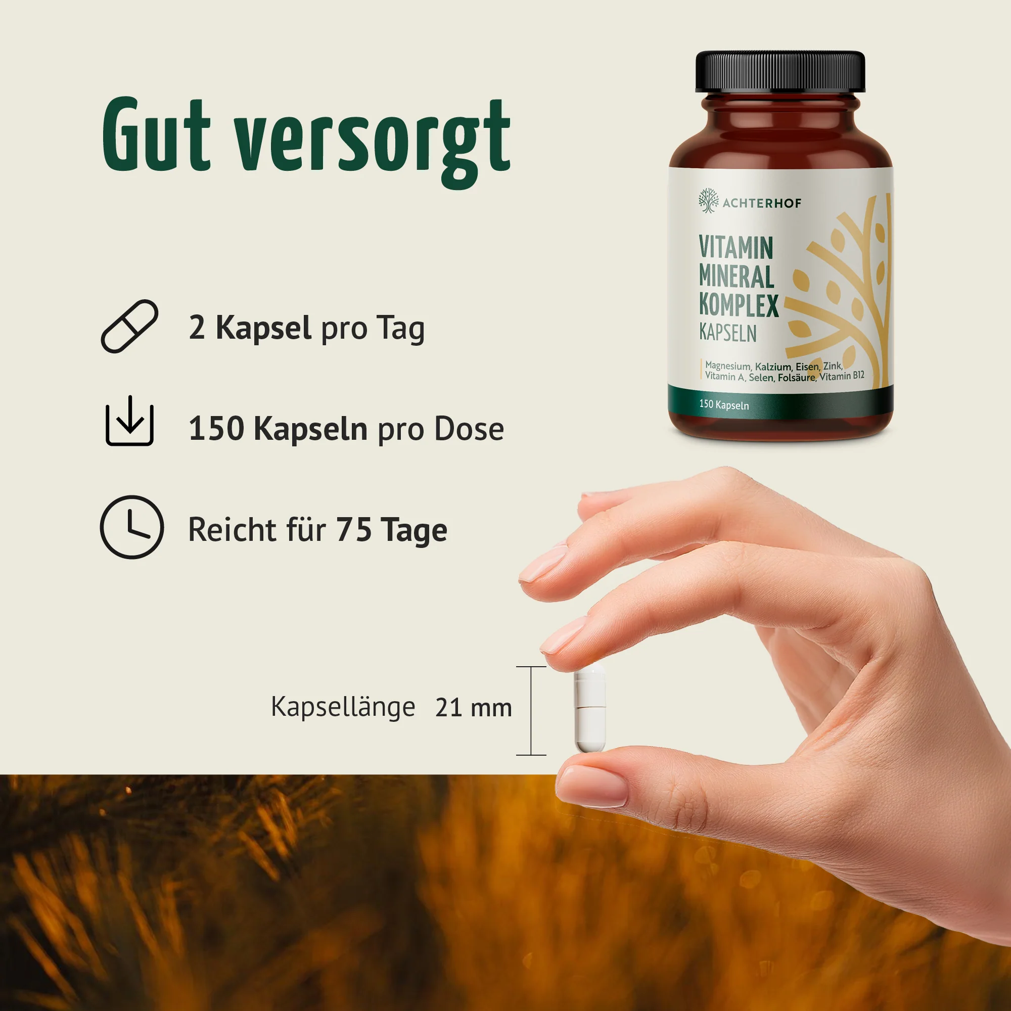 Vorschaubild 5
